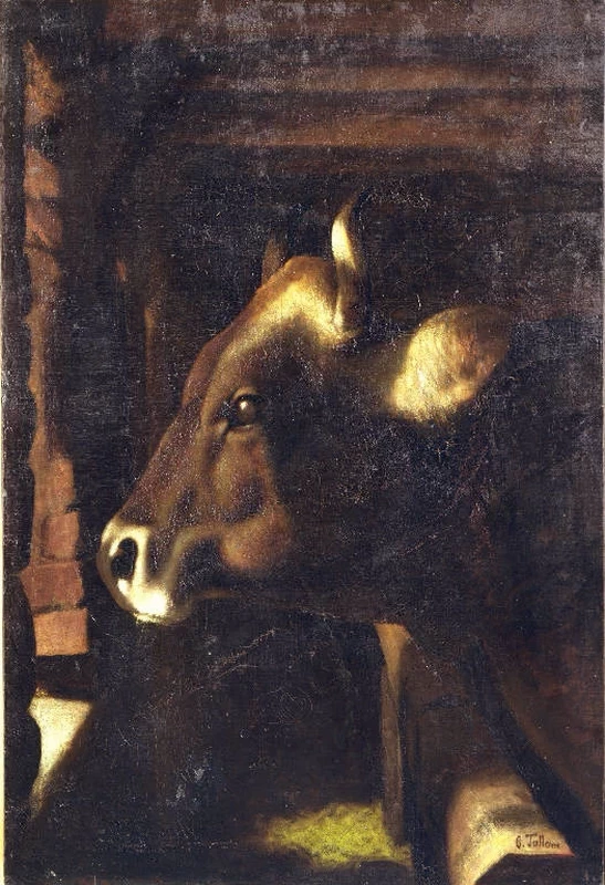 Testa di bove - Accademia Carrara, Bergamo